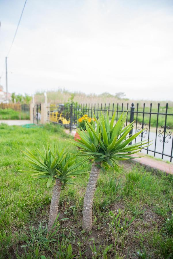 Garden Suite Néa Péramos Bagian luar foto