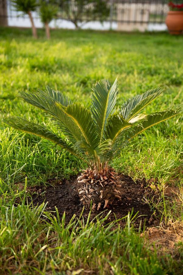 Garden Suite Néa Péramos Bagian luar foto